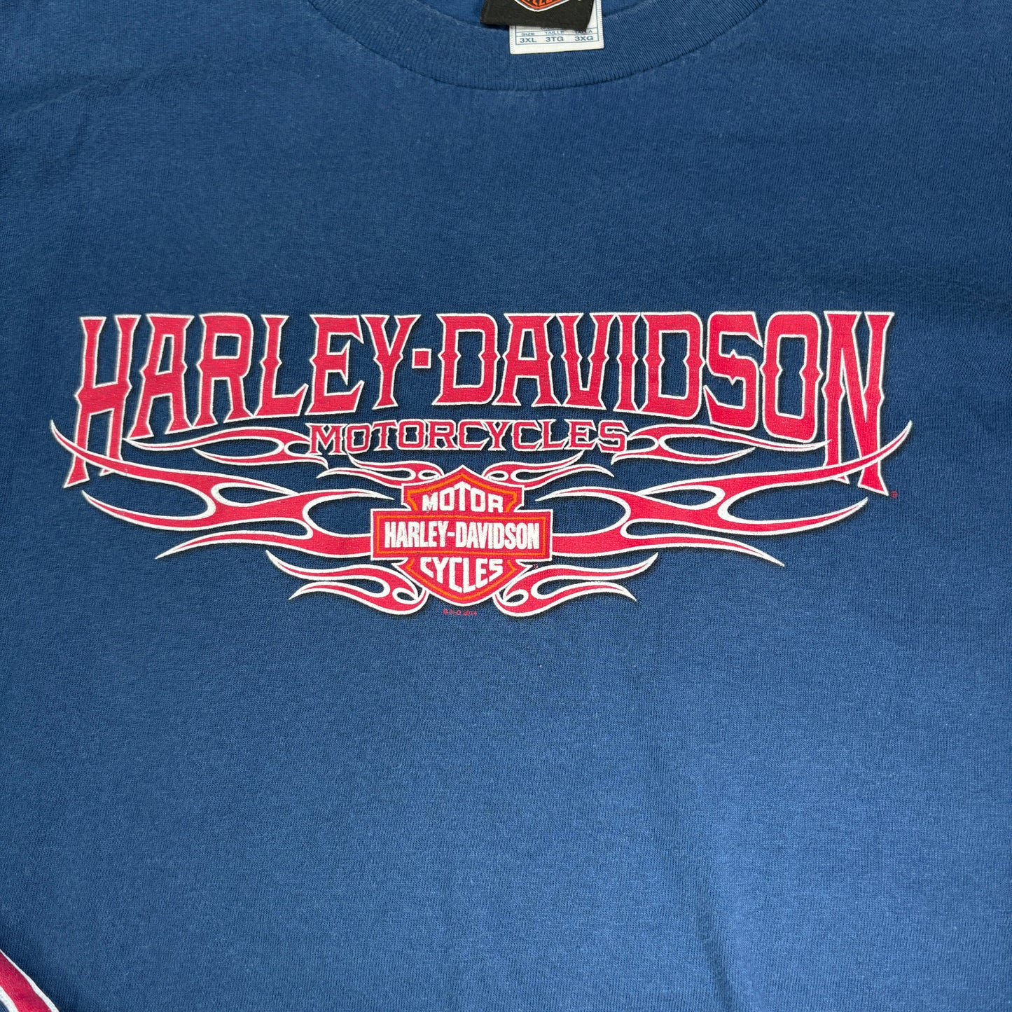 90s Harley-Davidson ロングスリーブTシャツ 3XL NYC スカル×ファイヤーパターン 青 ブルー