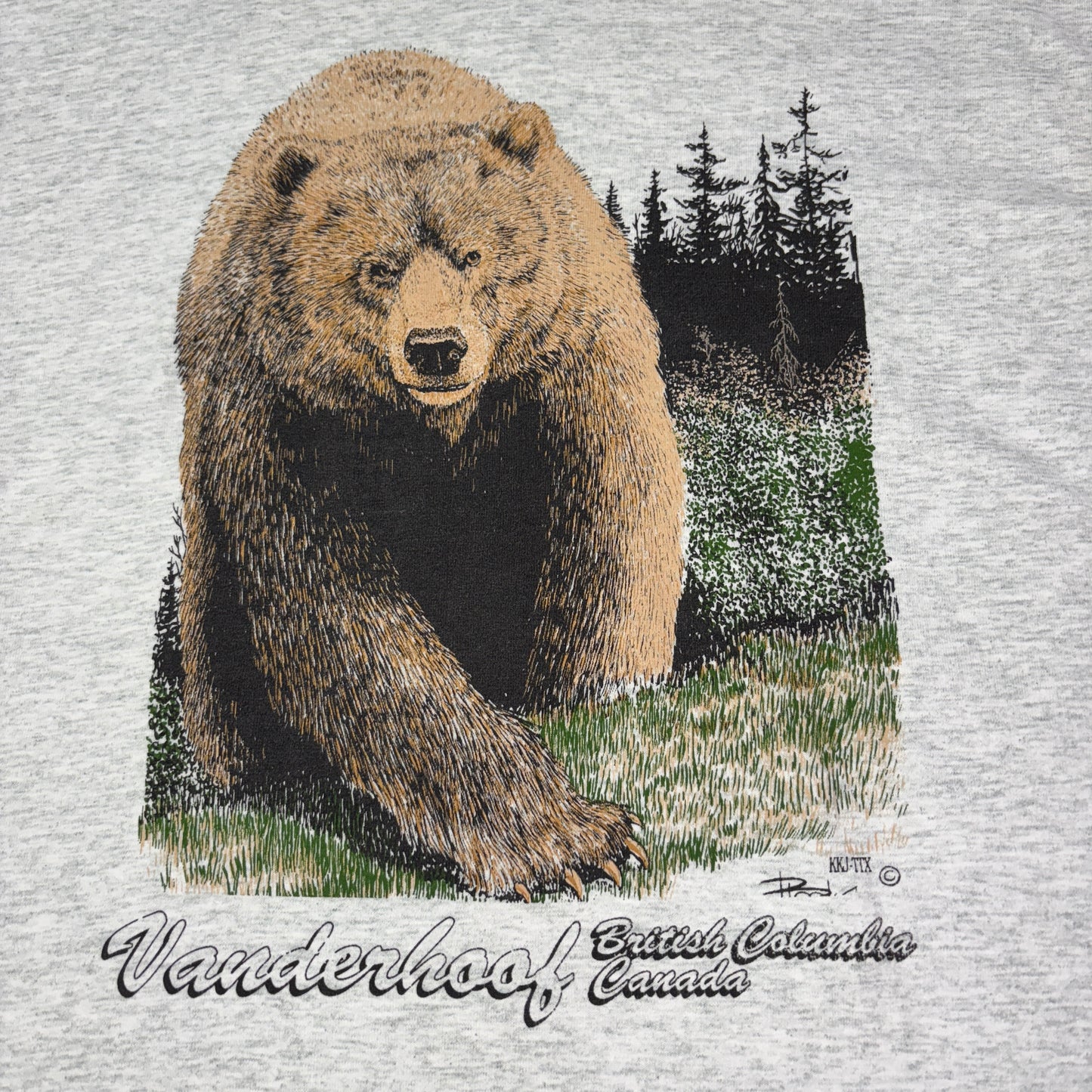 90s USA製 Fruit of the Loom グリズリーベア アニマルフォトTシャツ ヴィンテージ Vanderhoof カナダ土産 Lサイズ