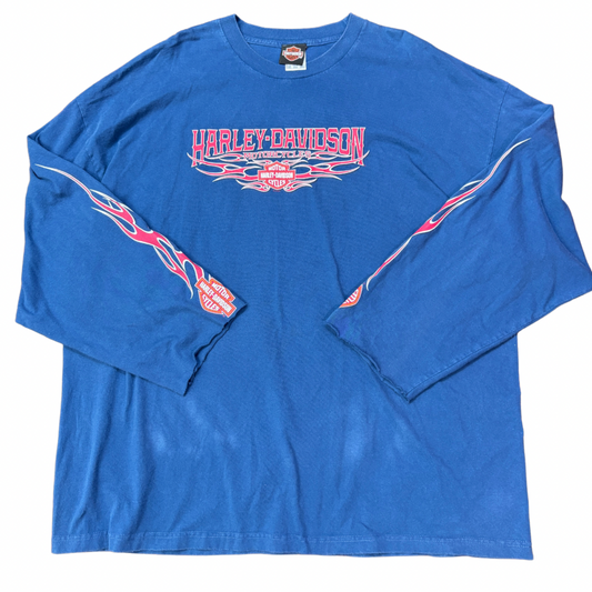 90s Harley-Davidson ロングスリーブTシャツ 3XL NYC スカル×ファイヤーパターン 青 ブルー
