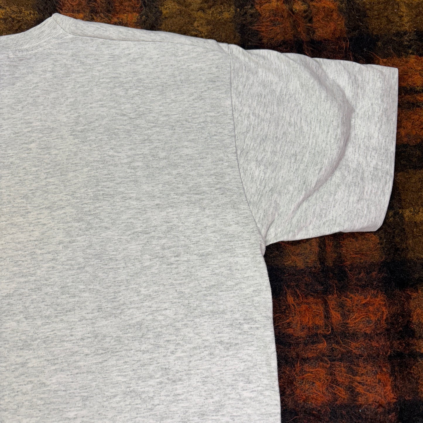 90s USA製 Fruit of the Loom グリズリーベア アニマルフォトTシャツ ヴィンテージ Vanderhoof カナダ土産 Lサイズ