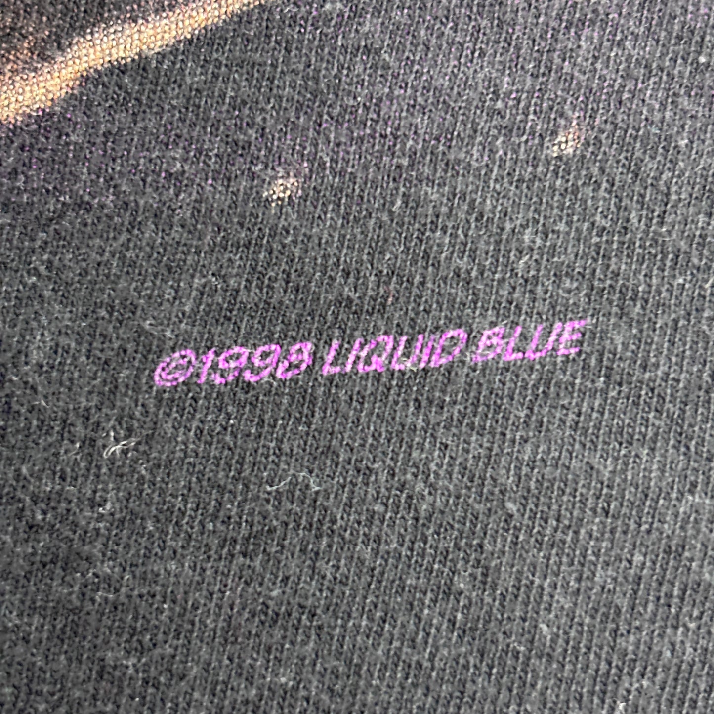 1998 LIQUID BLUE ライオン アニマルプリントTシャツ USA企画 ブラック L|両面プリント/3-40