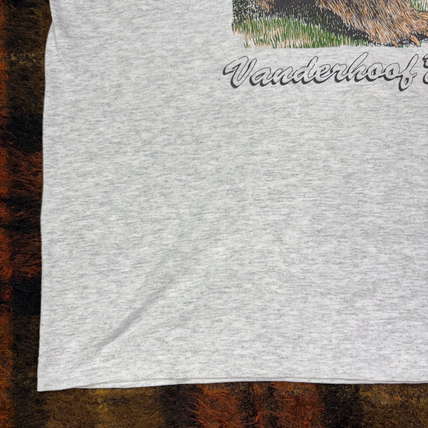 90s USA製 Fruit of the Loom グリズリーベア アニマルフォトTシャツ ヴィンテージ Vanderhoof カナダ土産 Lサイズ