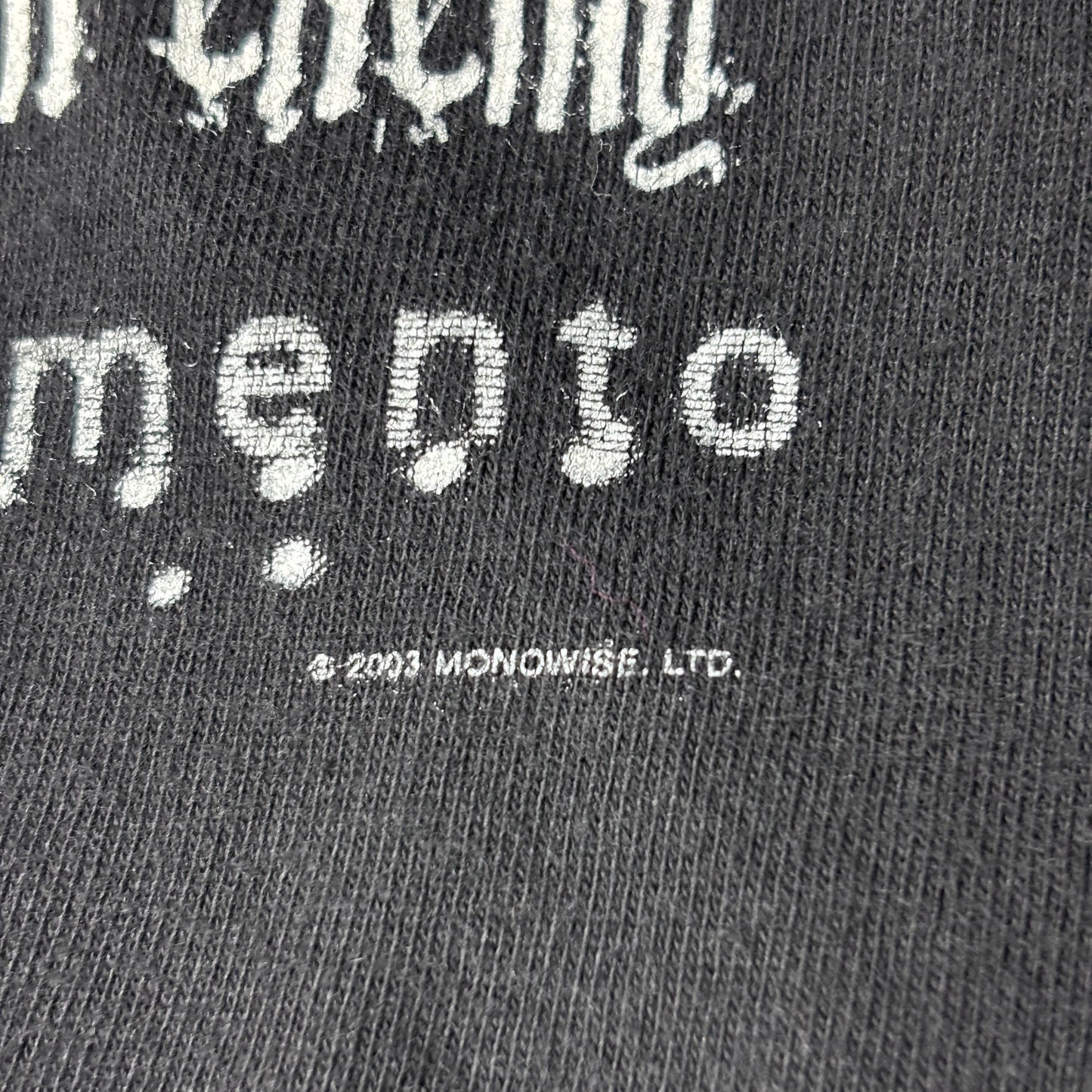 【Ozzy Osbourne Ozzfest 2003 Tシャツ】オジーオズボーン バンドT フェスT Tennessee River ブラック 古着/6-6
