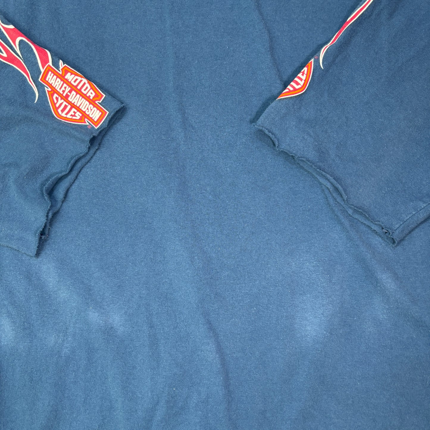 90s Harley-Davidson ロングスリーブTシャツ 3XL NYC スカル×ファイヤーパターン 青 ブルー
