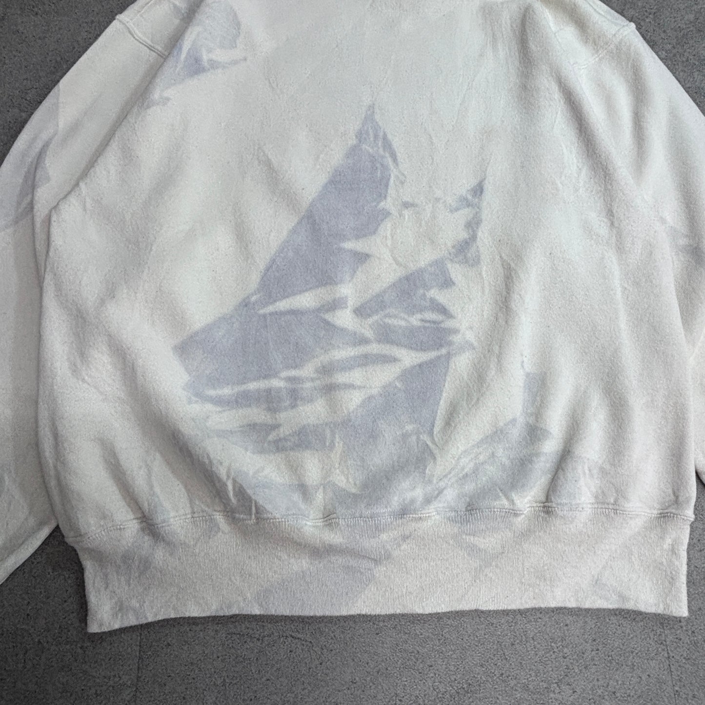 【90s Hanes ACTIVEWEAR LEADVILLE TRAIL 100 スウェット Lサイズ】ヘインズ USAファブリック ヴィンテージ クルーネック トレーナー ランイベント アニマルプリント/2-100