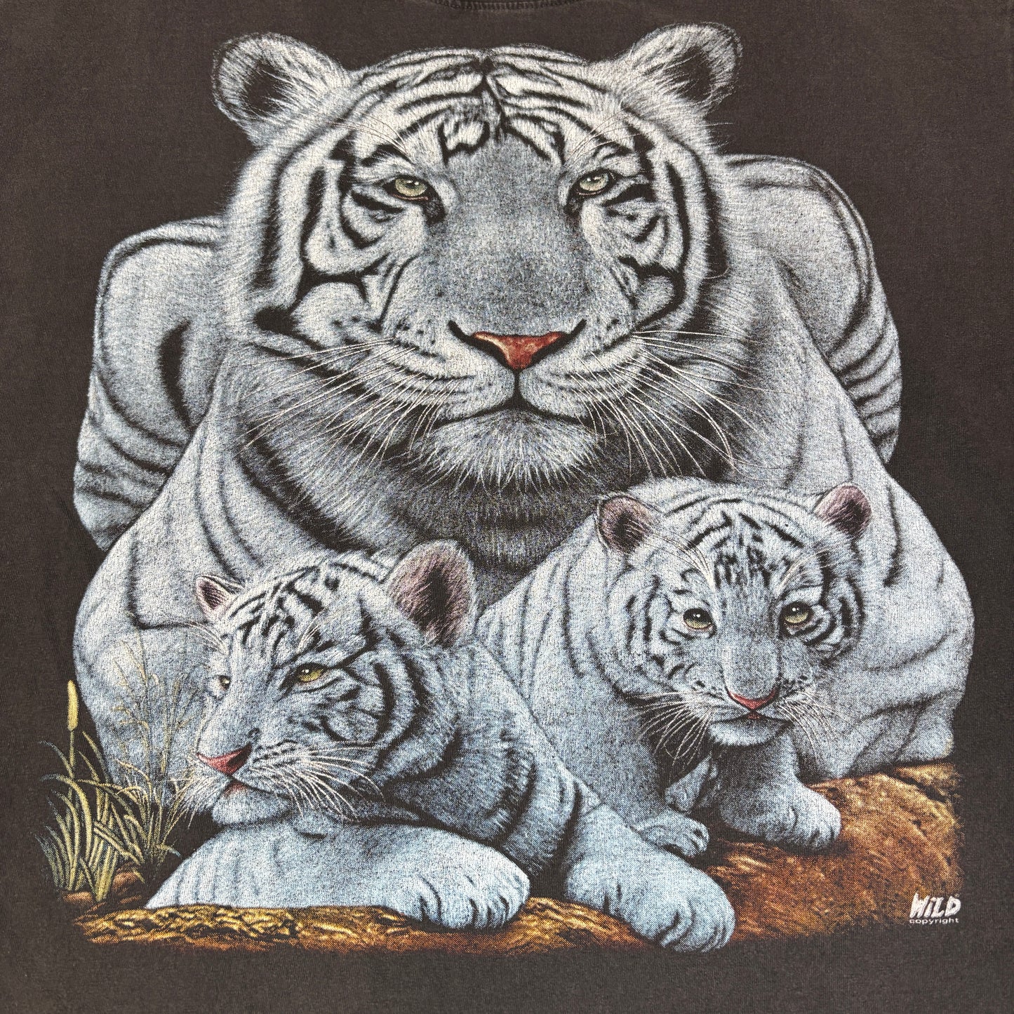 【WILD LIFE】ホワイトタイガー親子Tシャツ｜アニマルフォトリアルプリント
