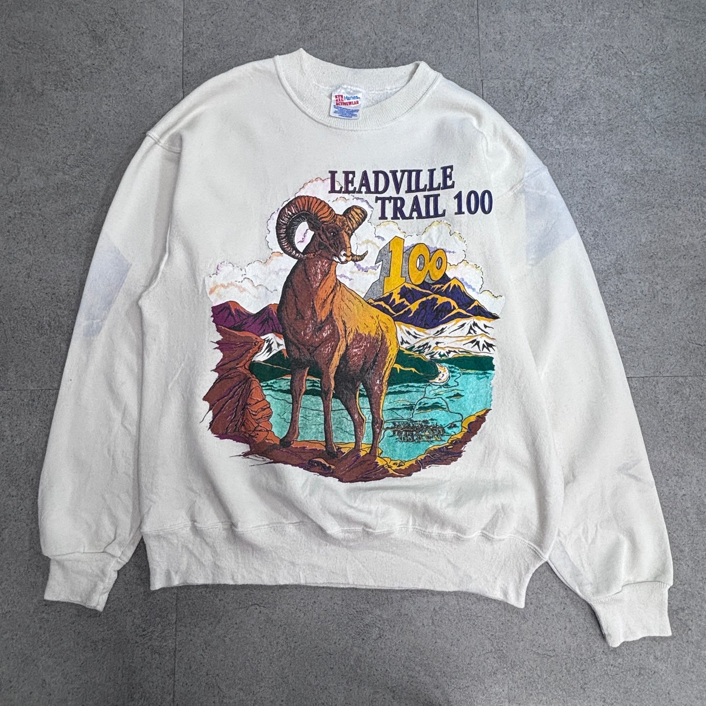 【90s Hanes ACTIVEWEAR LEADVILLE TRAIL 100 スウェット Lサイズ】ヘインズ USAファブリック ヴィンテージ クルーネック トレーナー ランイベント アニマルプリント/2-100