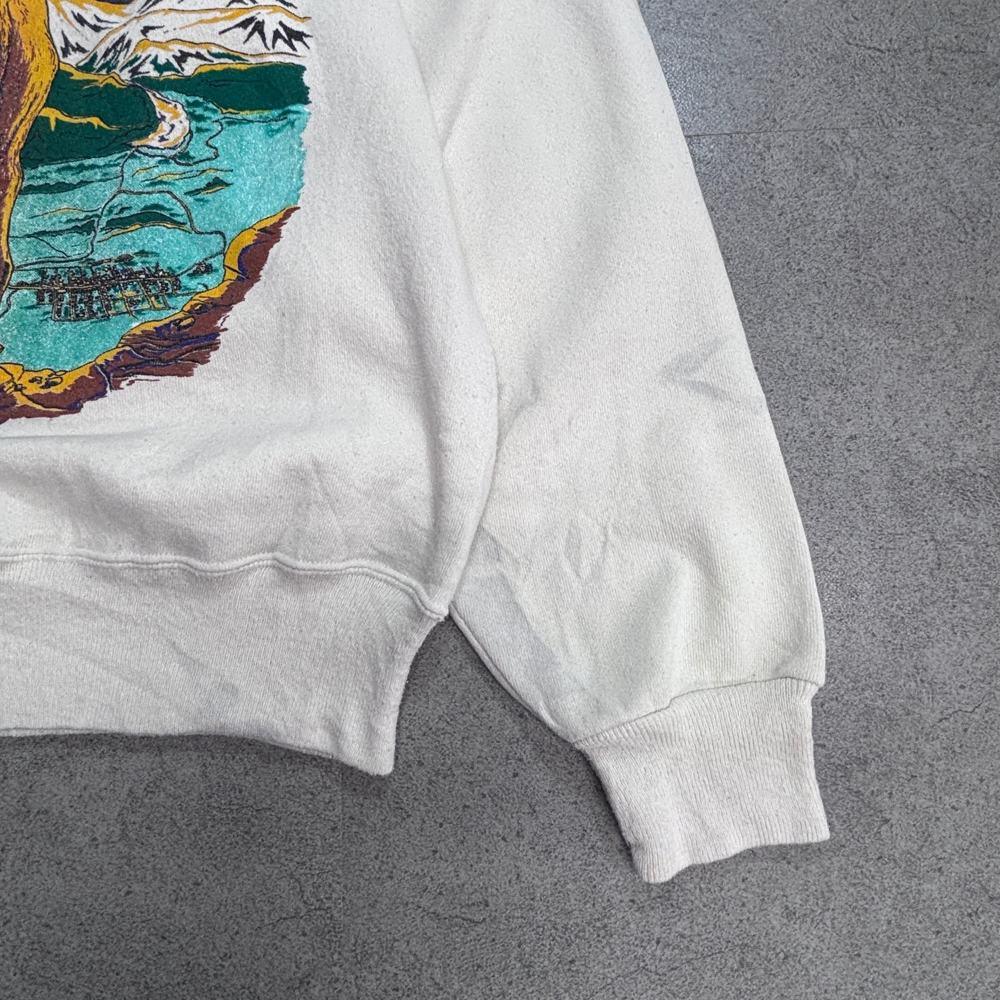 【90s Hanes ACTIVEWEAR LEADVILLE TRAIL 100 スウェット Lサイズ】ヘインズ USAファブリック ヴィンテージ クルーネック トレーナー ランイベント アニマルプリント/2-100