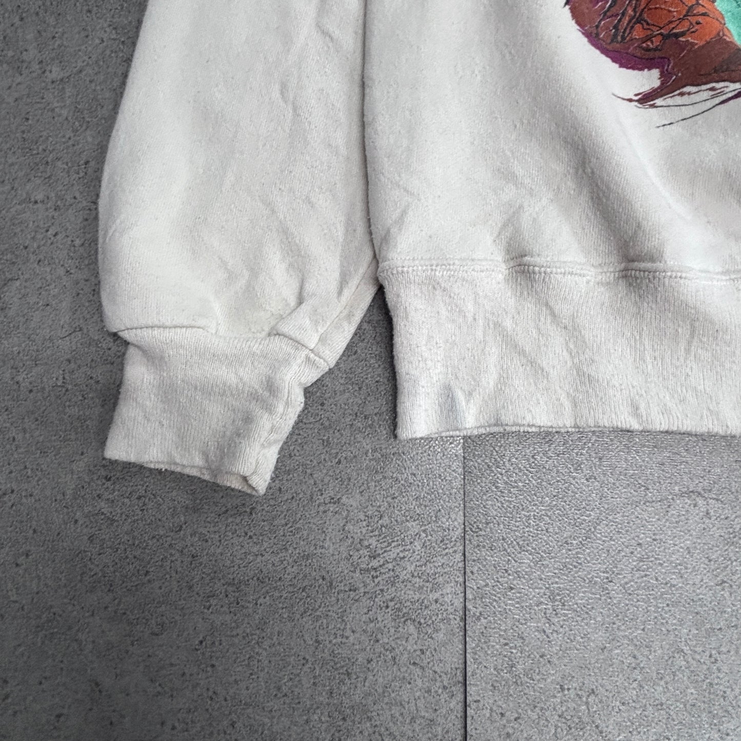 【90s Hanes ACTIVEWEAR LEADVILLE TRAIL 100 スウェット Lサイズ】ヘインズ USAファブリック ヴィンテージ クルーネック トレーナー ランイベント アニマルプリント/2-100