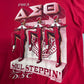 【USA製 JERZEES】Delta Sigma Theta “SOUL STEPPIN’” プリントTシャツ 1990年代 レッド/7-39