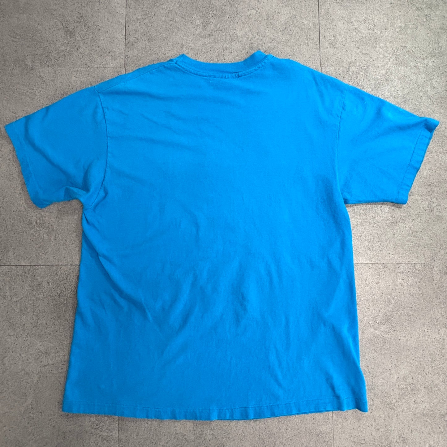 90s Laurel Burch Cat アートTシャツ USA製 シングルステッチ｜カラフル猫デザイン ヴィンテージ/3-47