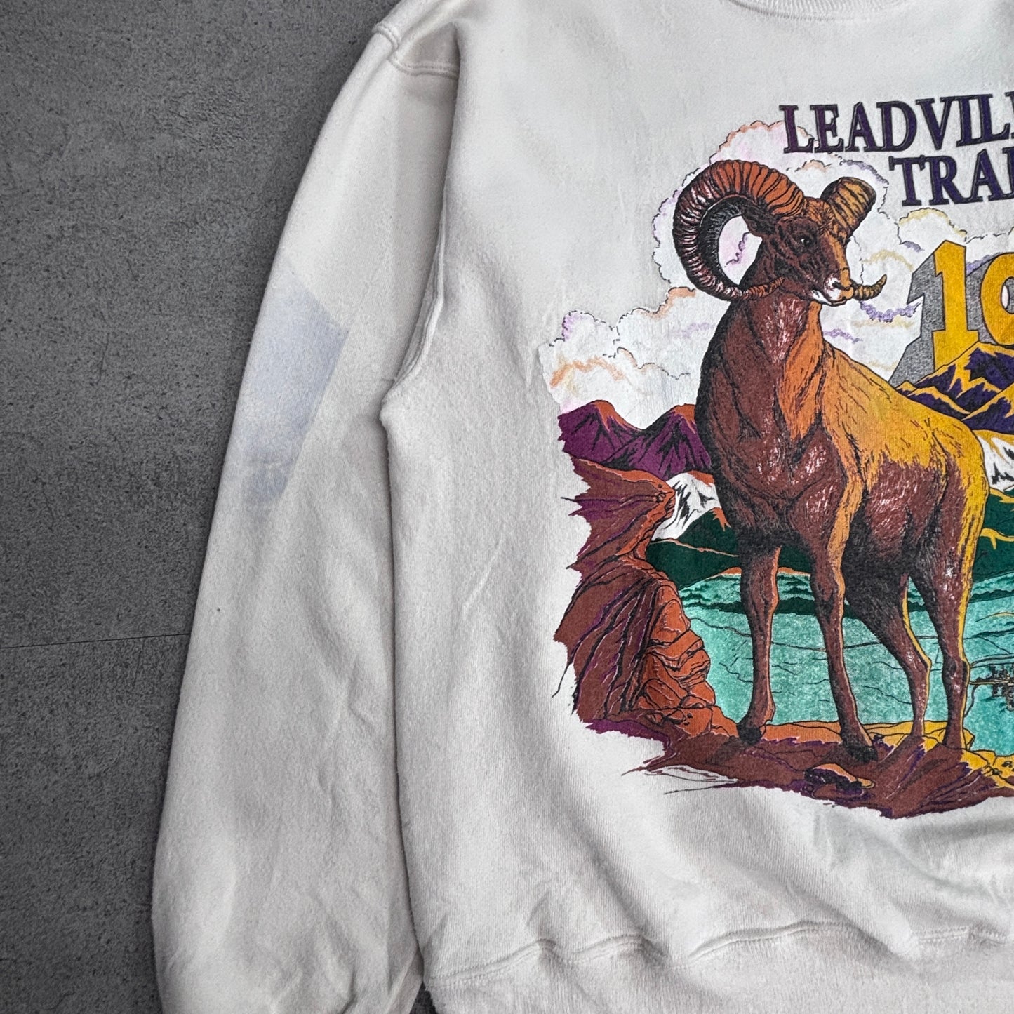 【90s Hanes ACTIVEWEAR LEADVILLE TRAIL 100 スウェット Lサイズ】ヘインズ USAファブリック ヴィンテージ クルーネック トレーナー ランイベント アニマルプリント/2-100