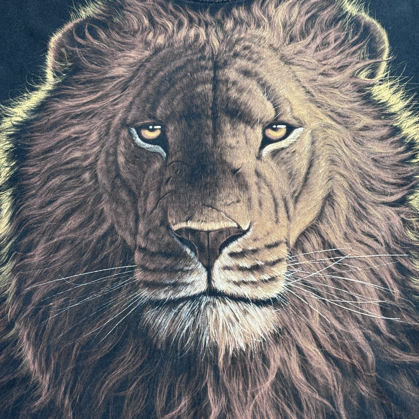 1998 LIQUID BLUE ライオン アニマルプリントTシャツ USA企画 ブラック L｜両面プリント/3-40