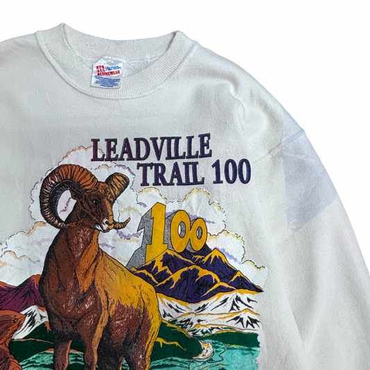 【90s Hanes ACTIVEWEAR LEADVILLE TRAIL 100 スウェット Lサイズ】ヘインズ USAファブリック ヴィンテージ クルーネック トレーナー ランイベント アニマルプリント/2-100