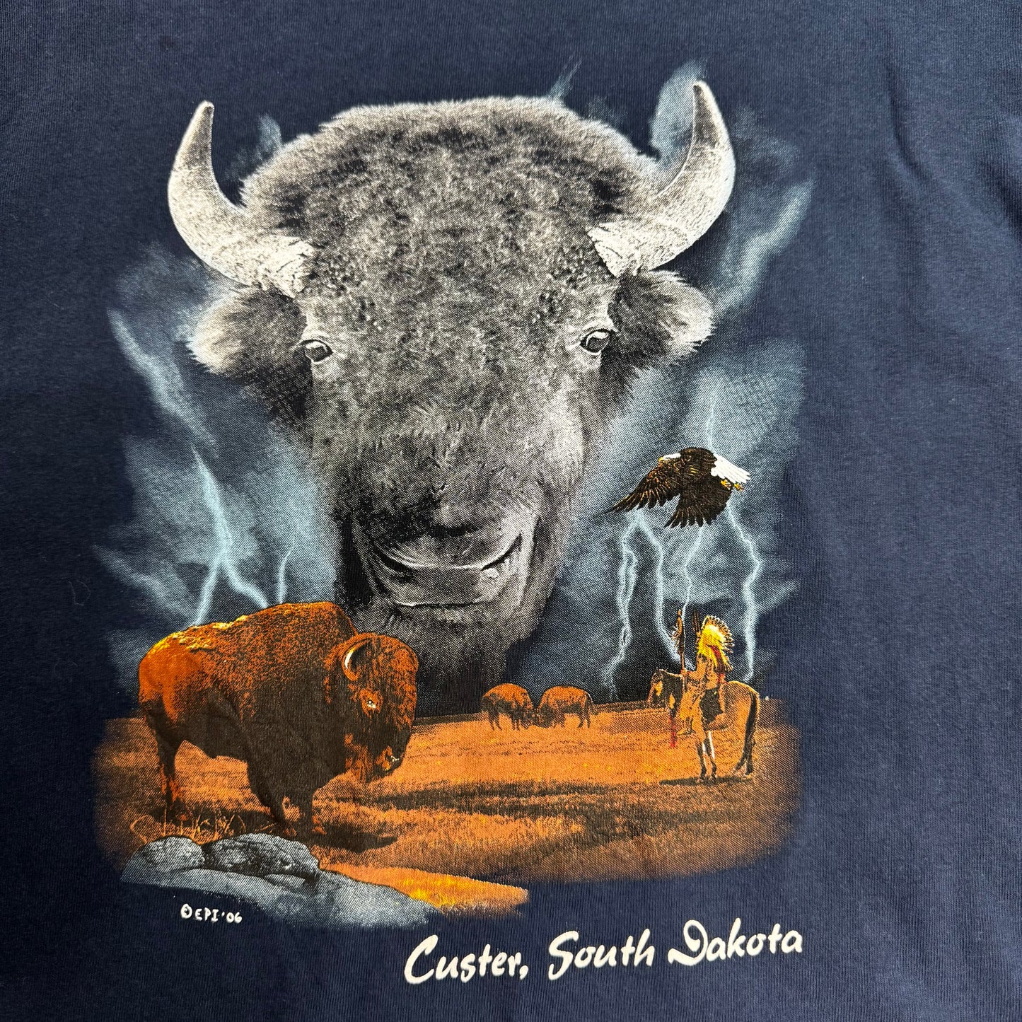 2006 GILDAN Custer, South Dakota バイソン アニマルプリント Tシャツ ネイビー/7-62