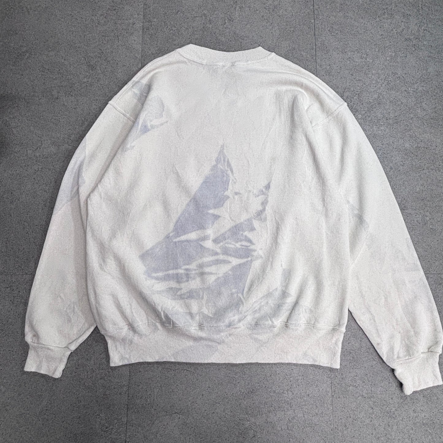 【90s Hanes ACTIVEWEAR LEADVILLE TRAIL 100 スウェット Lサイズ】ヘインズ USAファブリック ヴィンテージ クルーネック トレーナー ランイベント アニマルプリント/2-100