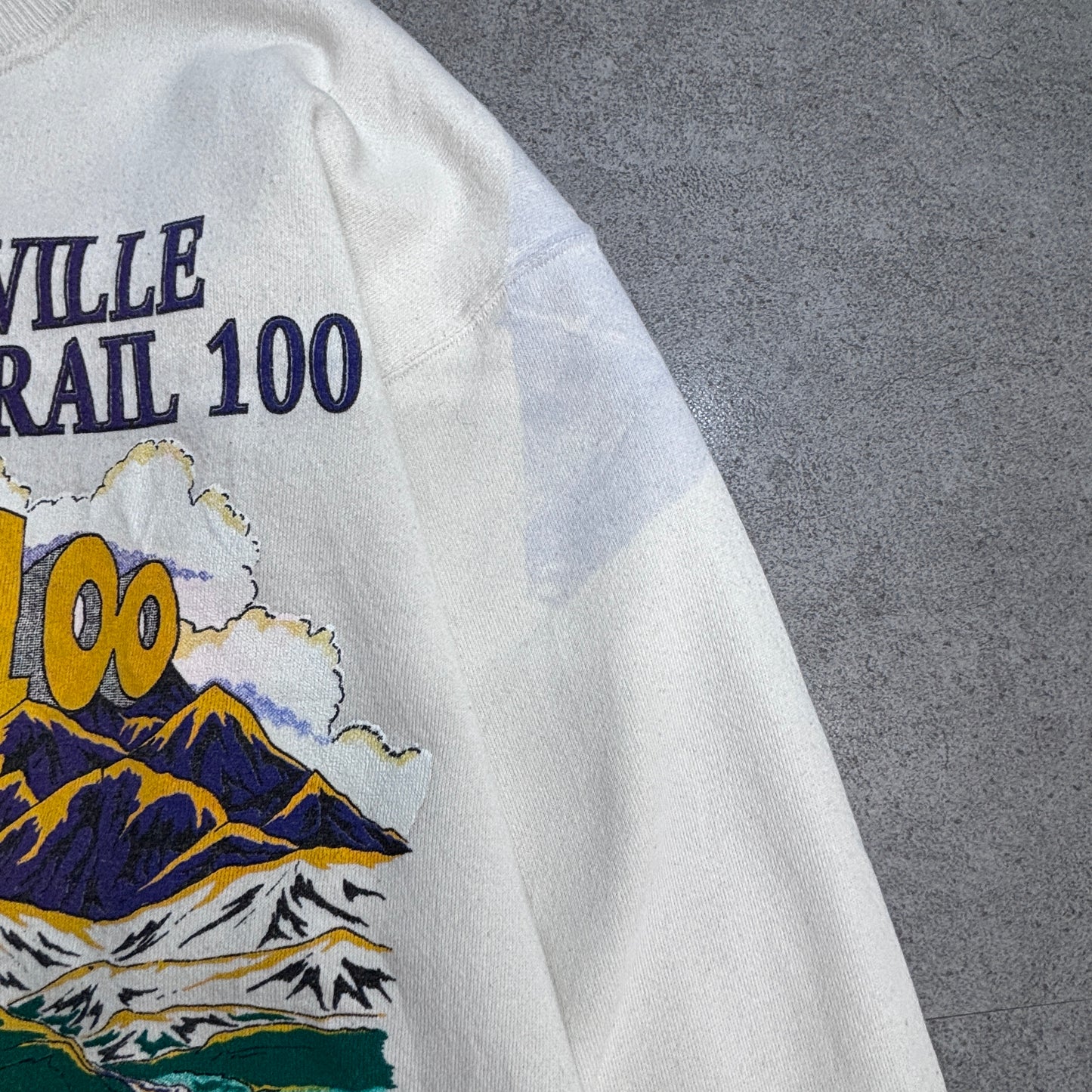 【90s Hanes ACTIVEWEAR LEADVILLE TRAIL 100 スウェット Lサイズ】ヘインズ USAファブリック ヴィンテージ クルーネック トレーナー ランイベント アニマルプリント/2-100