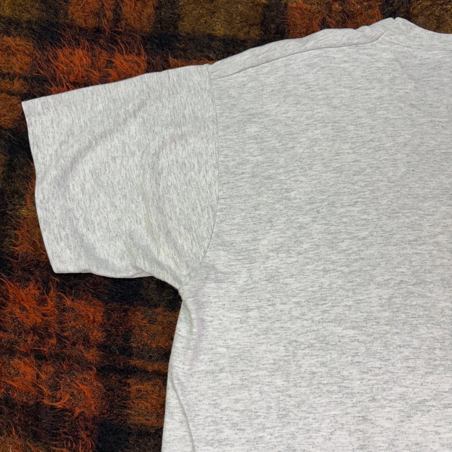 90s USA製 Fruit of the Loom グリズリーベア アニマルフォトTシャツ ヴィンテージ Vanderhoof カナダ土産 Lサイズ