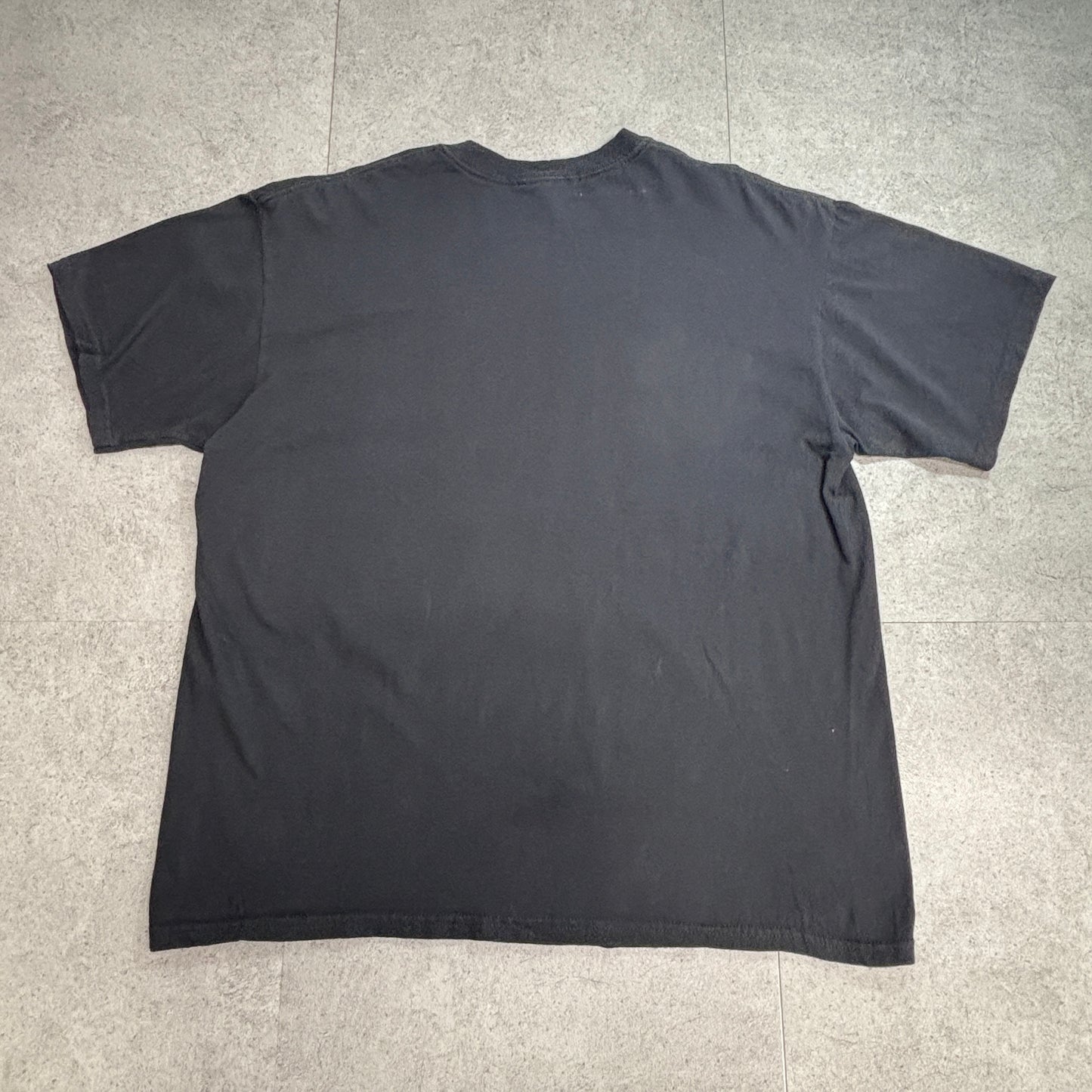 【Molly Hatchet 2001 プリントTシャツ】モリー・ハチェット サザンロック バンドT Anvil XL ブラック 古着/8-51