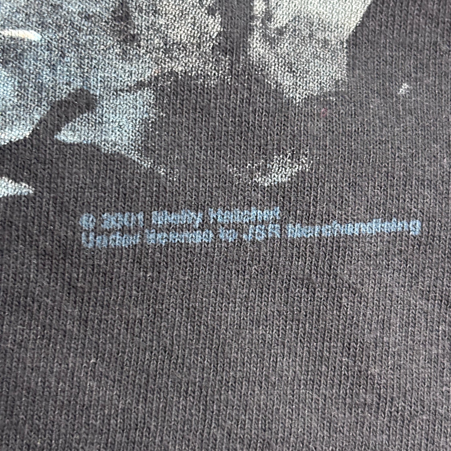 【Molly Hatchet 2001 プリントTシャツ】モリー・ハチェット サザンロック バンドT Anvil XL ブラック 古着/8-51