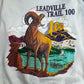【90s Hanes ACTIVEWEAR LEADVILLE TRAIL 100 スウェット Lサイズ】ヘインズ USAファブリック ヴィンテージ クルーネック トレーナー ランイベント アニマルプリント/2-100